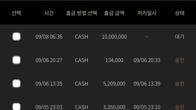 빅스벳(구억벳) 1400만원 먹튀확정!